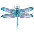Field Zoology by KNU 2021 (gr13): Strong Dragonfly icon