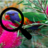 Lorikeet Paralysis Syndrome Project icon