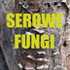 Khama III Museum - Fungi  of Serowe icon