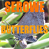 Khama III Memorial Museum - Serowe Butterflies icon