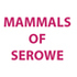 Khama III Memorial Museum - Mammals of Serowe icon