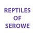 Reptiles of Serowe icon
