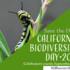 CA Biodiversity Day 2021: Upper Newport Bay icon