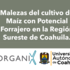 Malezas del cultivo de maíz con Potencial Forrajero del Sureste de Coahuila. icon