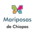 Mariposas (Lepidoptera) de Chiapas icon