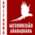 Aves da Mesorregião de Araraquara, SP, Brasil icon