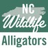 NC Alligators icon