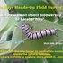 Insect Biodiversity of Barabar Hills, Bihar icon