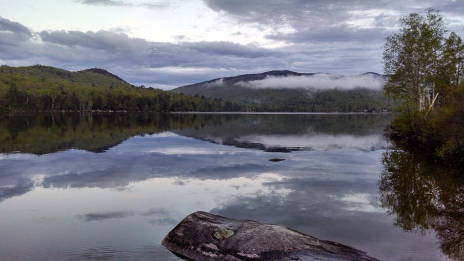 Life at Stinson Lake · iNaturalist