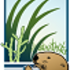 CA Biodiversity Day 2021 - Elkhorn Slough icon