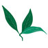 CA Biodiversity Day 2021 - Pepperwood Bioblitz icon