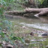 Keith Creek and Kent Creek Ecosystem  and Wildlife Corridor icon
