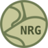 NRG Ivy Hunt icon