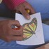 Monitoreo de mariposa monarca 2021 - 2022 Guanajuato icon