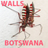 Animals using outside walls -  Botswana icon