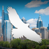 Birds of Philadelphia icon