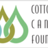 Cottonwood Canyons Foundation icon