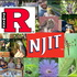 2021 - Rutgers-Newark/NJIT 9th Annual BioBlitz icon