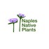 Naples Native Plants Bloom Phenology icon