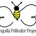Anguilla Pollinator Project icon