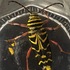 Beetles of Richmond, VA icon