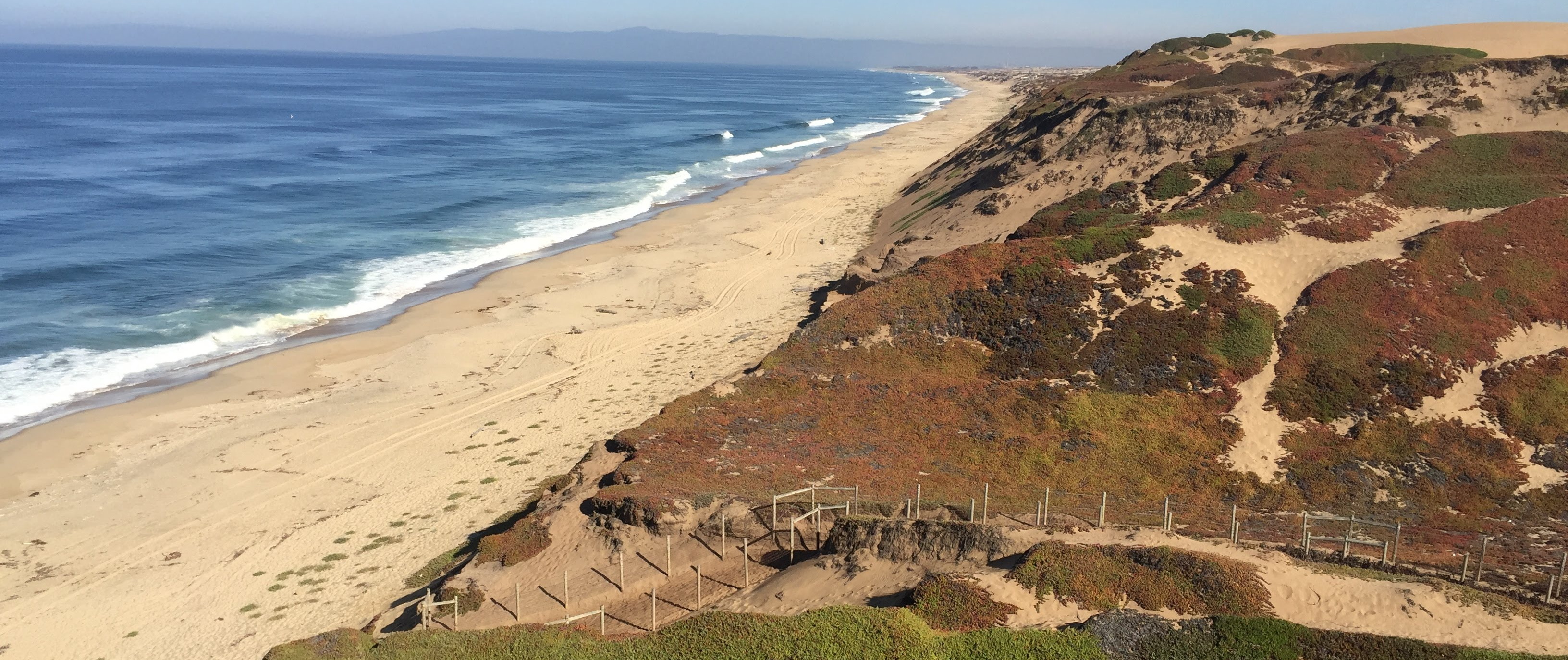 CSUMB ENVS660 Fall'21 · iNaturalist