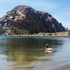 Morro Bay Estuary &amp; Watershed Biodiversity Project icon