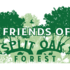 Split Oak Fall 2021 BioBlitz icon