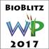 Wetlands Park BioBlitz 2017 icon