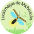 Luciérnagas de Michoacán icon