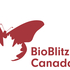 BioBlitz Canada Calgary - Weaselhead icon