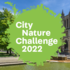 City Nature Challenge 2022: Bristol &amp; Bath region icon