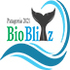 BioBlitz Patagonia 2021 icon