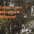 Monarchs &amp; Milkweed on the Central Coast, CA icon