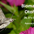 Biomaratón Otoño 2021 - Lepidoptera - Asoc. ZERYNTHIA icon