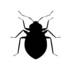 Insekti Hrvatske/ Insects of Croatia icon