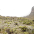 Flora and fauna of Mount Elgon, Uganda icon