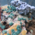 Bocas Underwater: Reef Identification icon