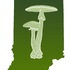 Indiana Fungi 2022 icon