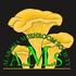 AMS Alabama Fungal Diversity Project- Collection icon