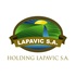 LAPAVIC S.A. icon