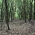 Biodiversidade-Serra dos Poncianos icon