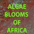Algal and euglenozoa blooms of Africa icon