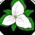 NPSO PDX  April 2022 Native Plant Appreciation Month,  BioBlitz! icon