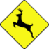Idaho Roadkill icon