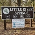Little River Springs BioBlitz icon