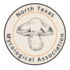 North Texas Mycological Association icon