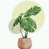 My Plants- Saint Lucia- Emerald icon