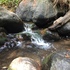 Biodiversidad de la cuenca del río Mixcoac icon