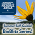 Oronoco Prairie SNA Self-guided BioBlitz 2022 icon